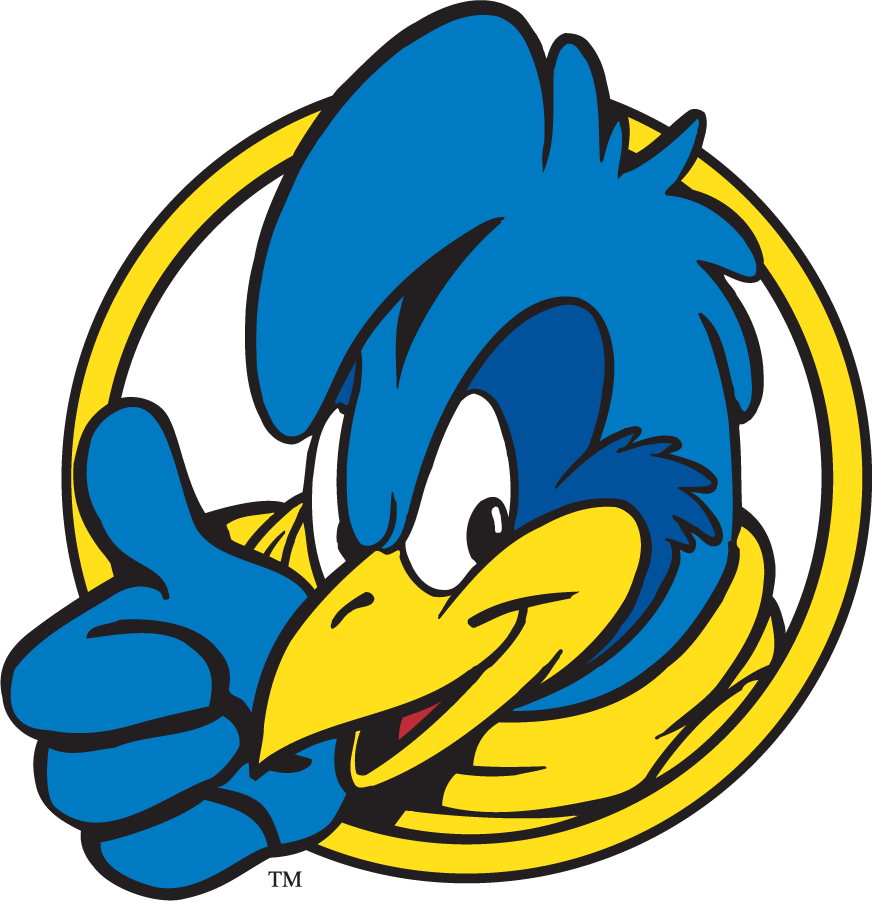 Delaware Blue Hens 1999-2009 Mascot Logo v10 diy DTF decal sticker